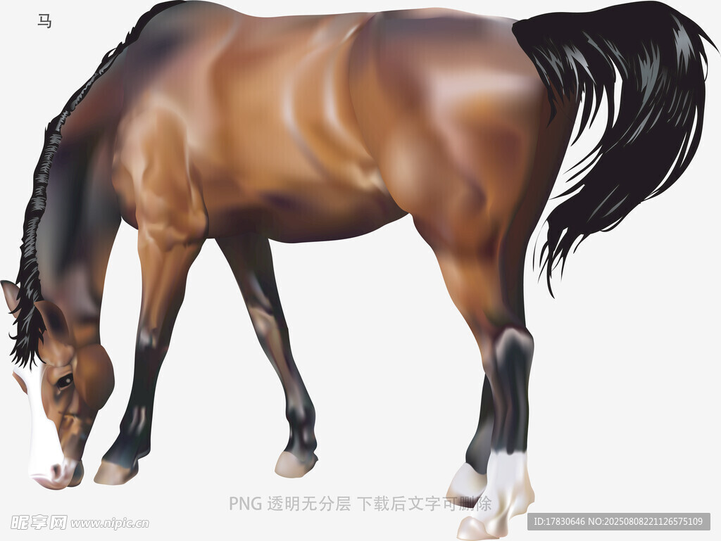 马