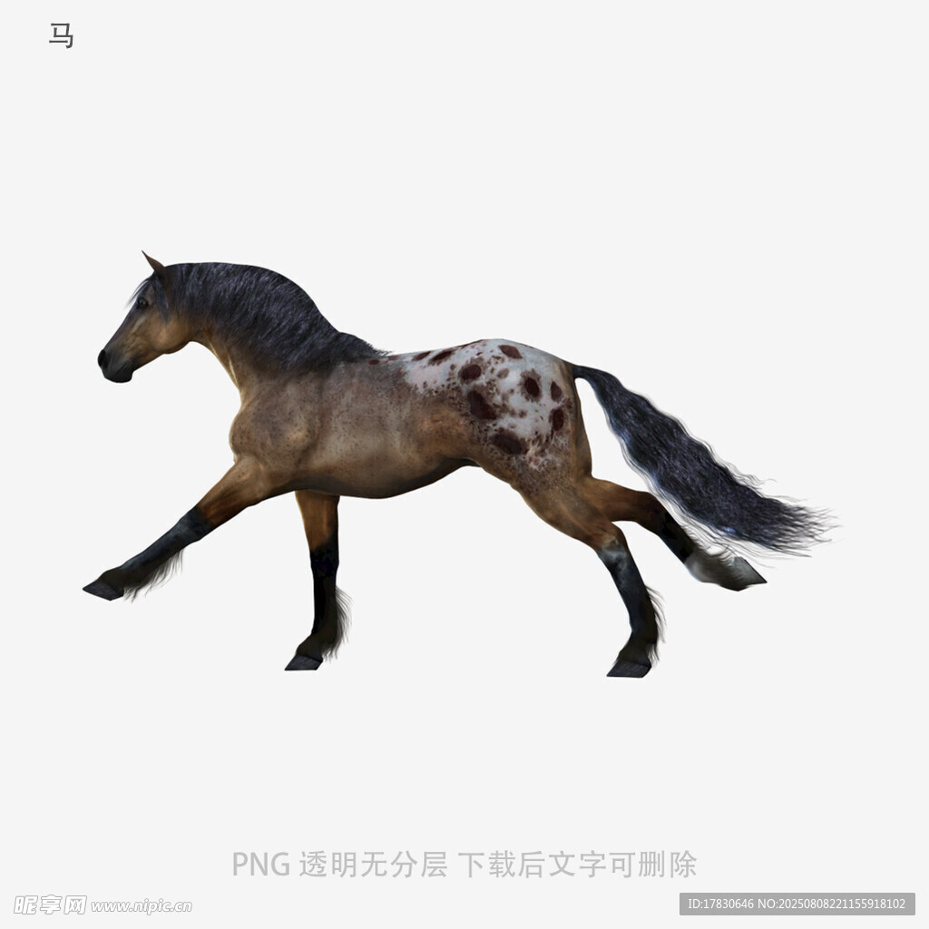 马