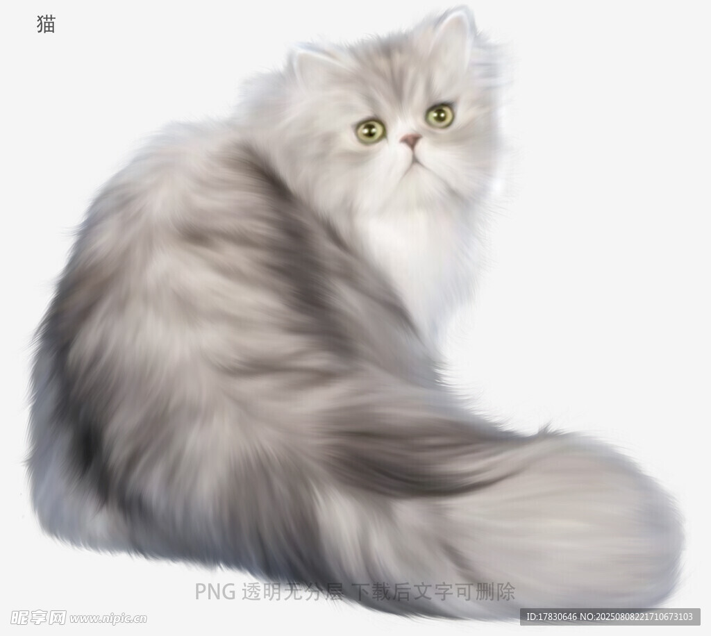 猫