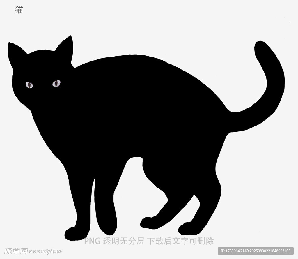 猫