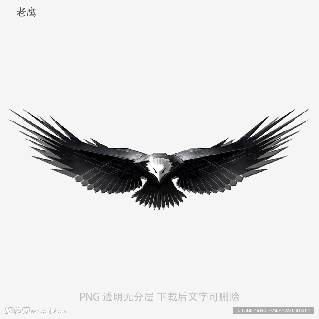 老鹰