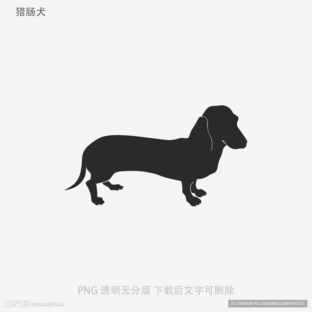 猎肠犬