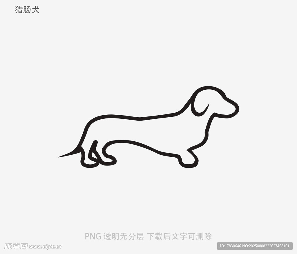 猎肠犬