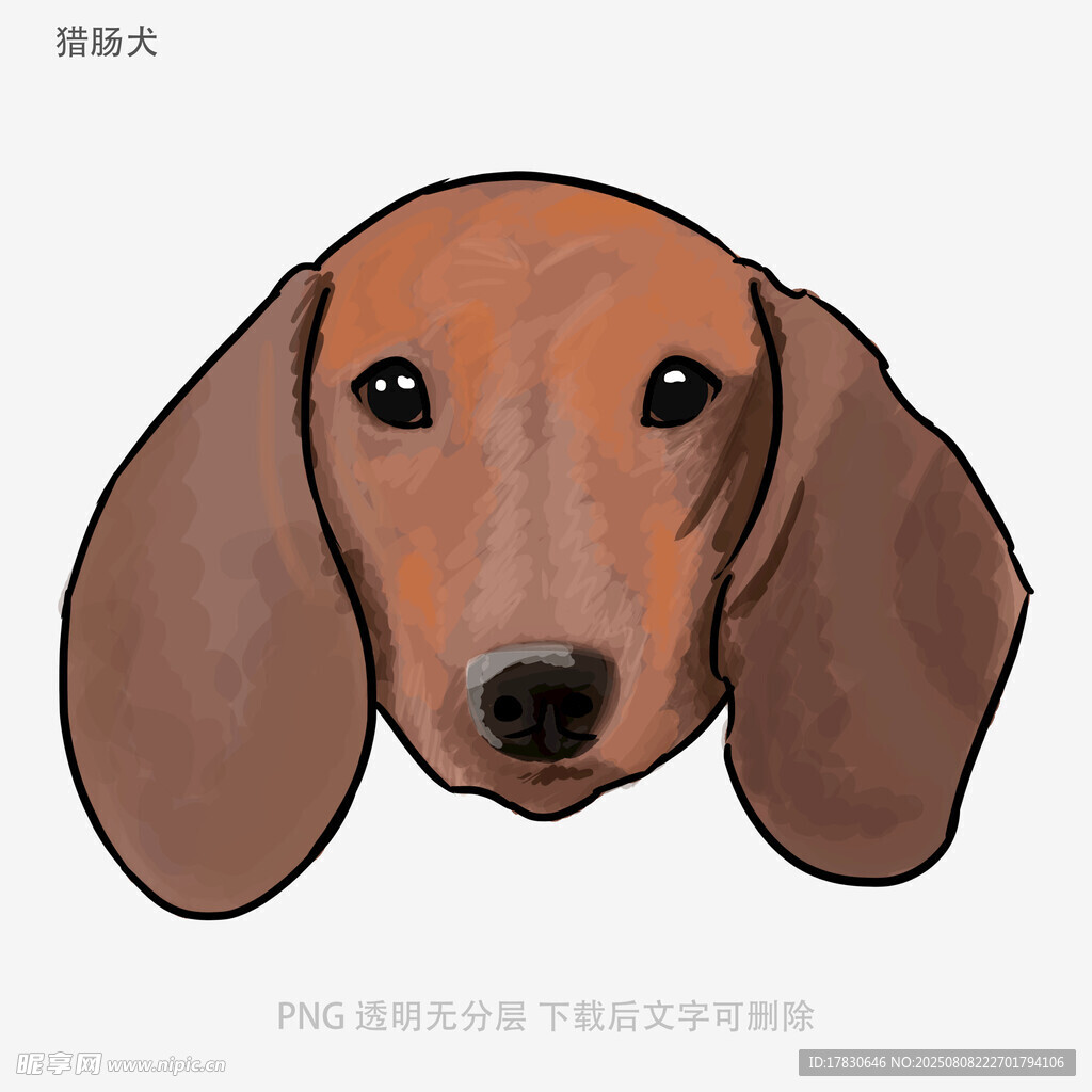 猎肠犬