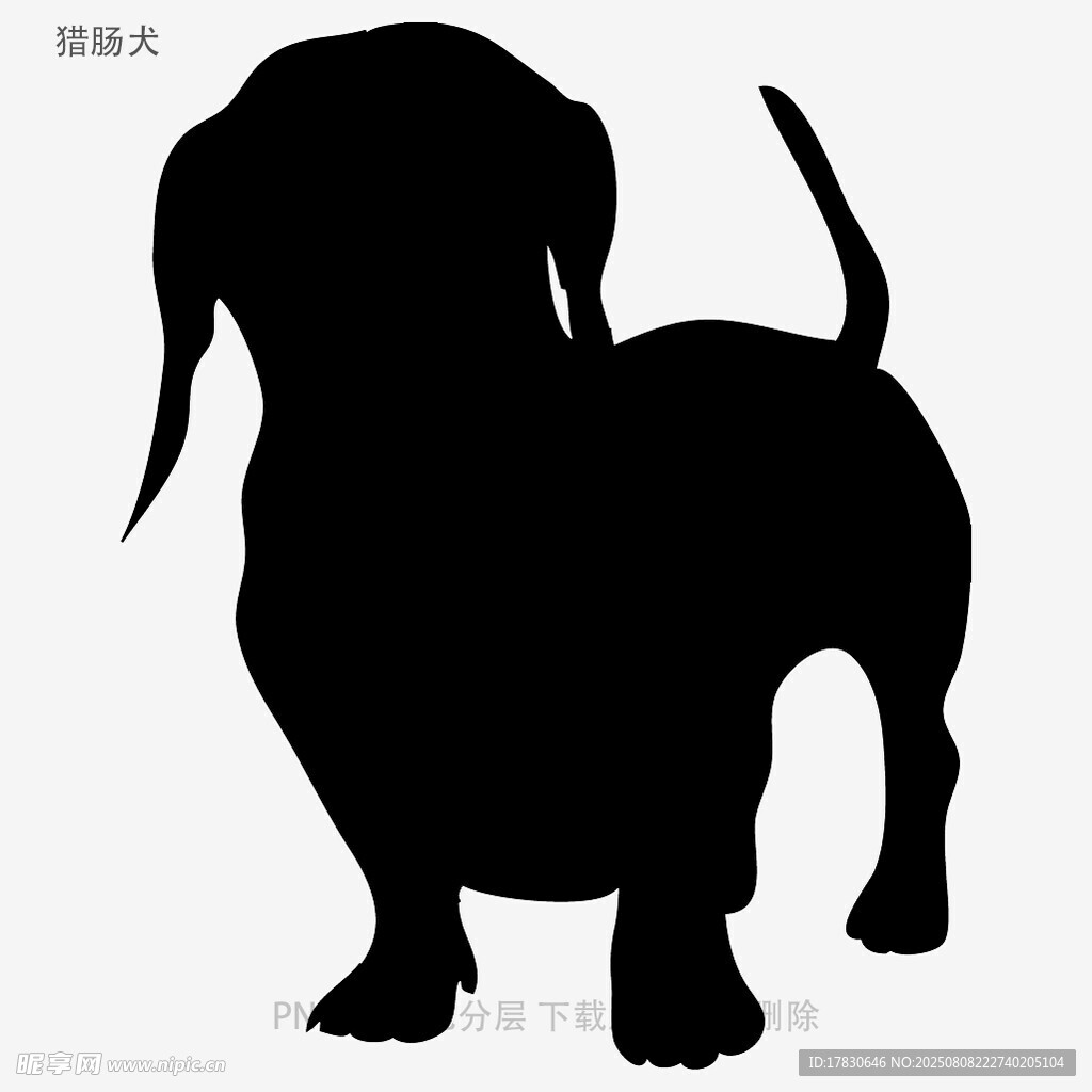猎肠犬