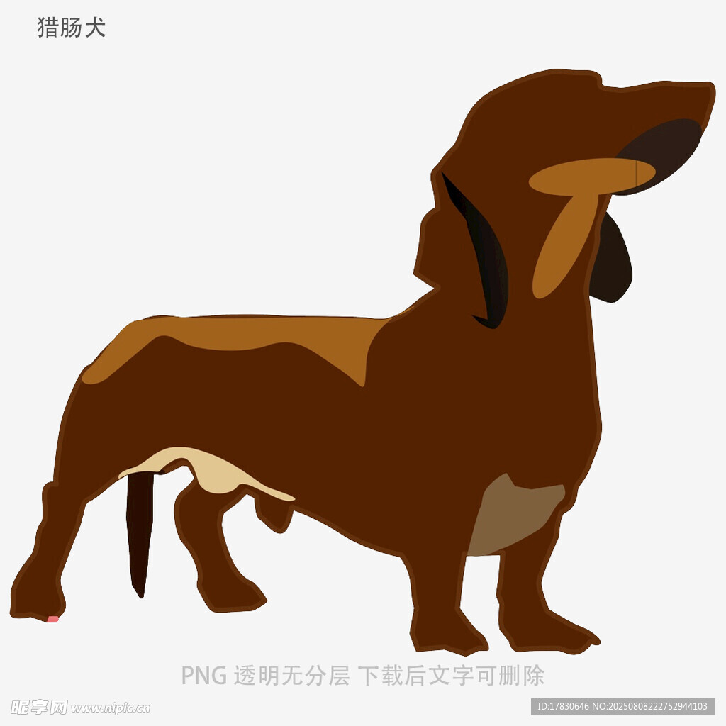 猎肠犬