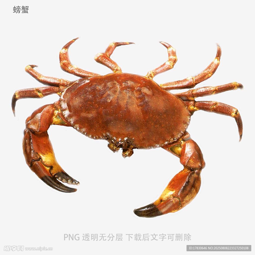 螃蟹