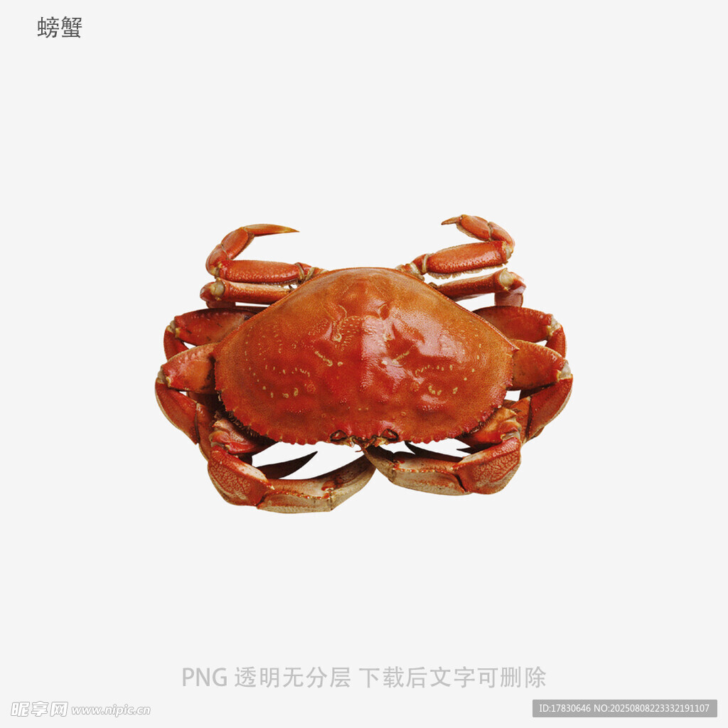螃蟹