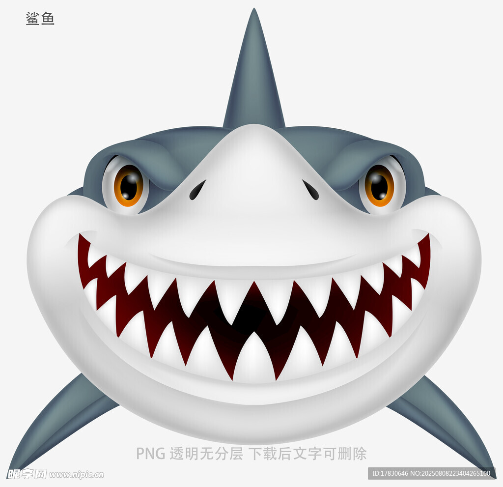 鲨鱼