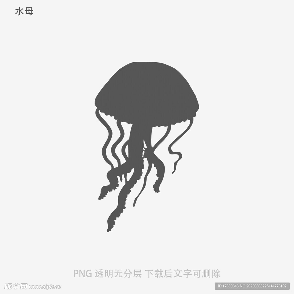 水母