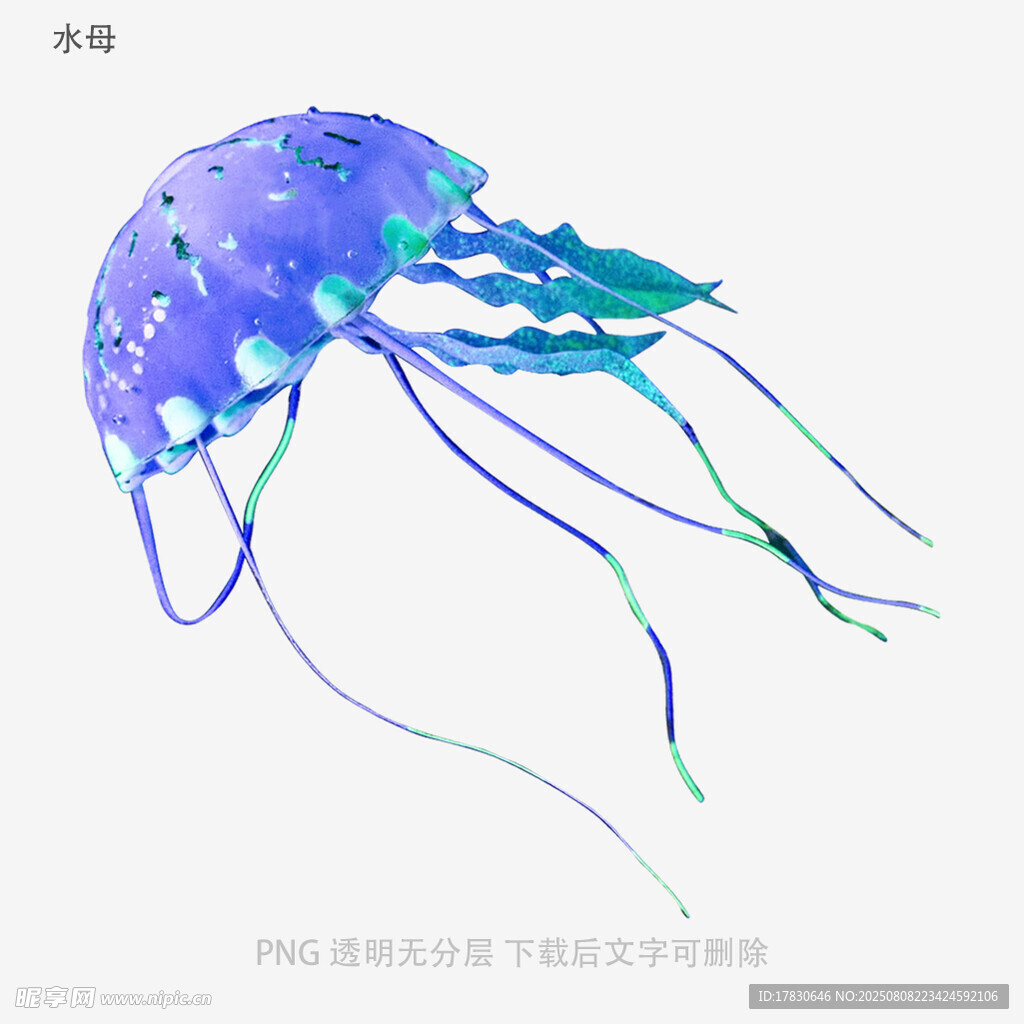 水母