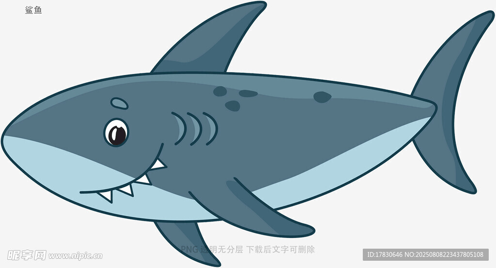 鲨鱼
