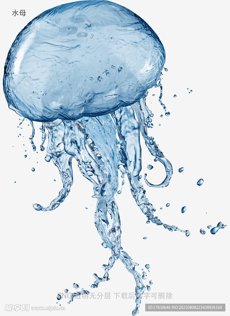 水母