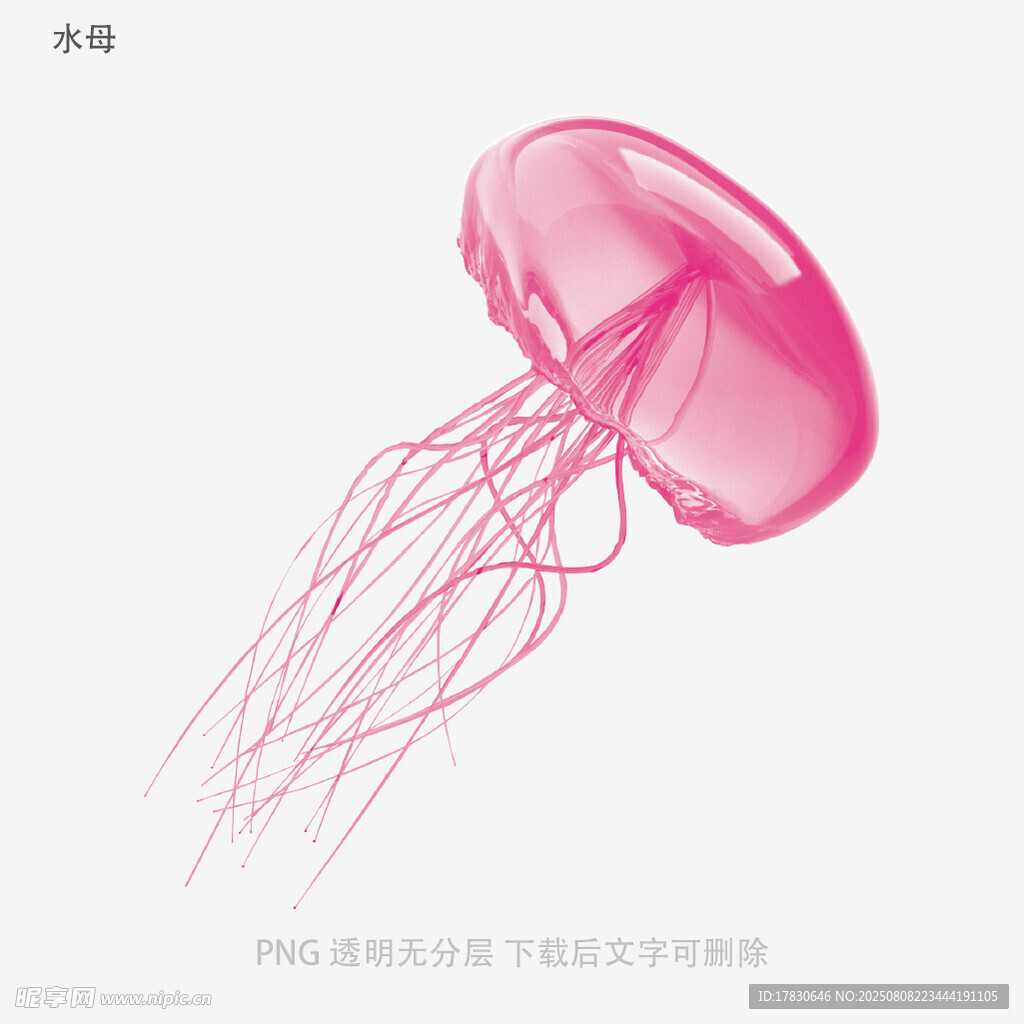 水母
