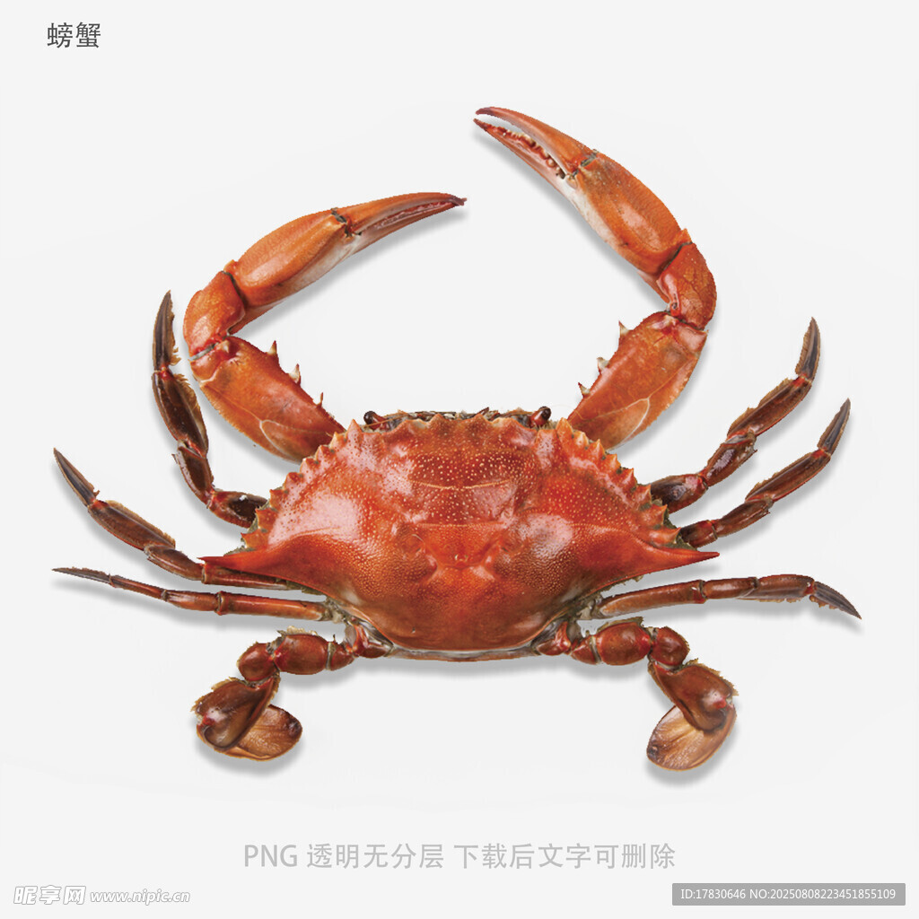 螃蟹