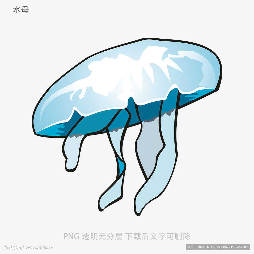 水母