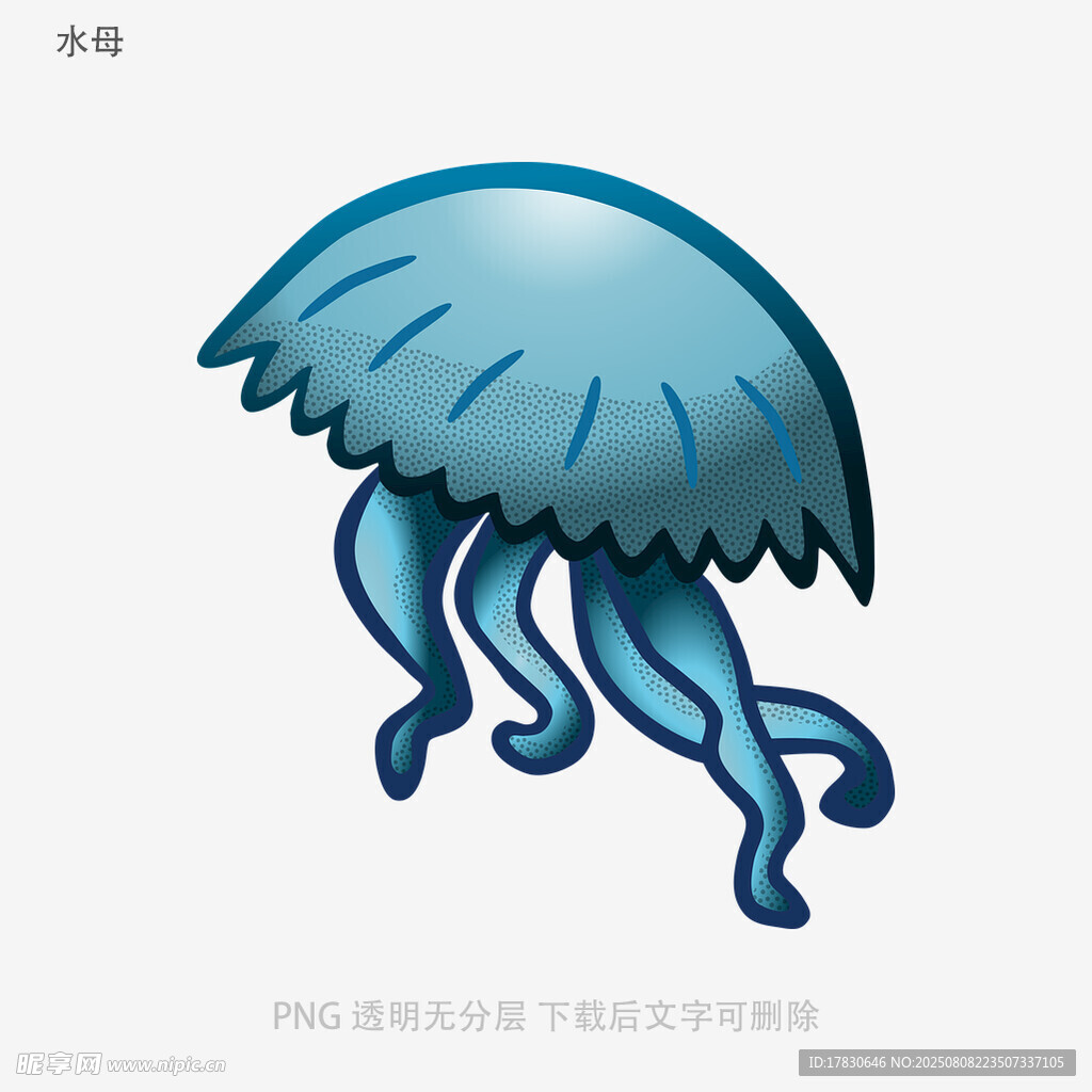 水母
