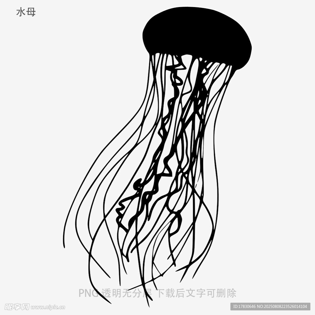 水母