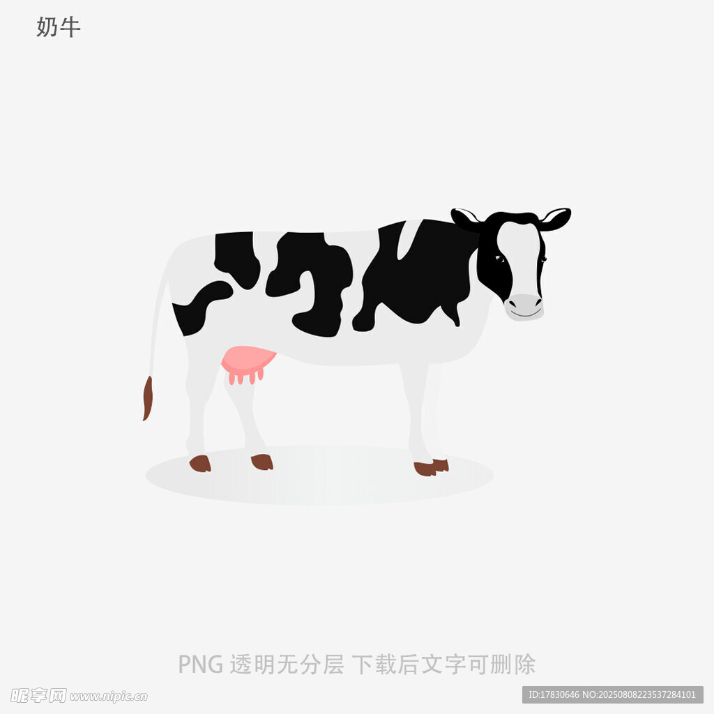 奶牛