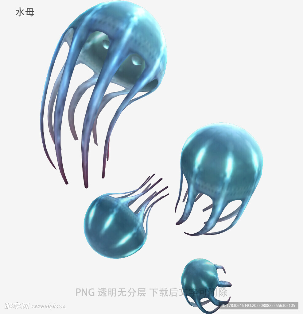 水母
