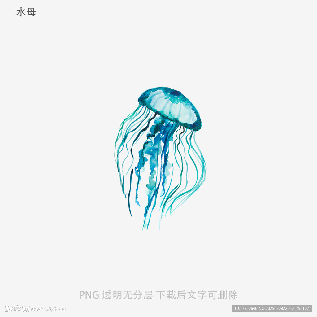 水母