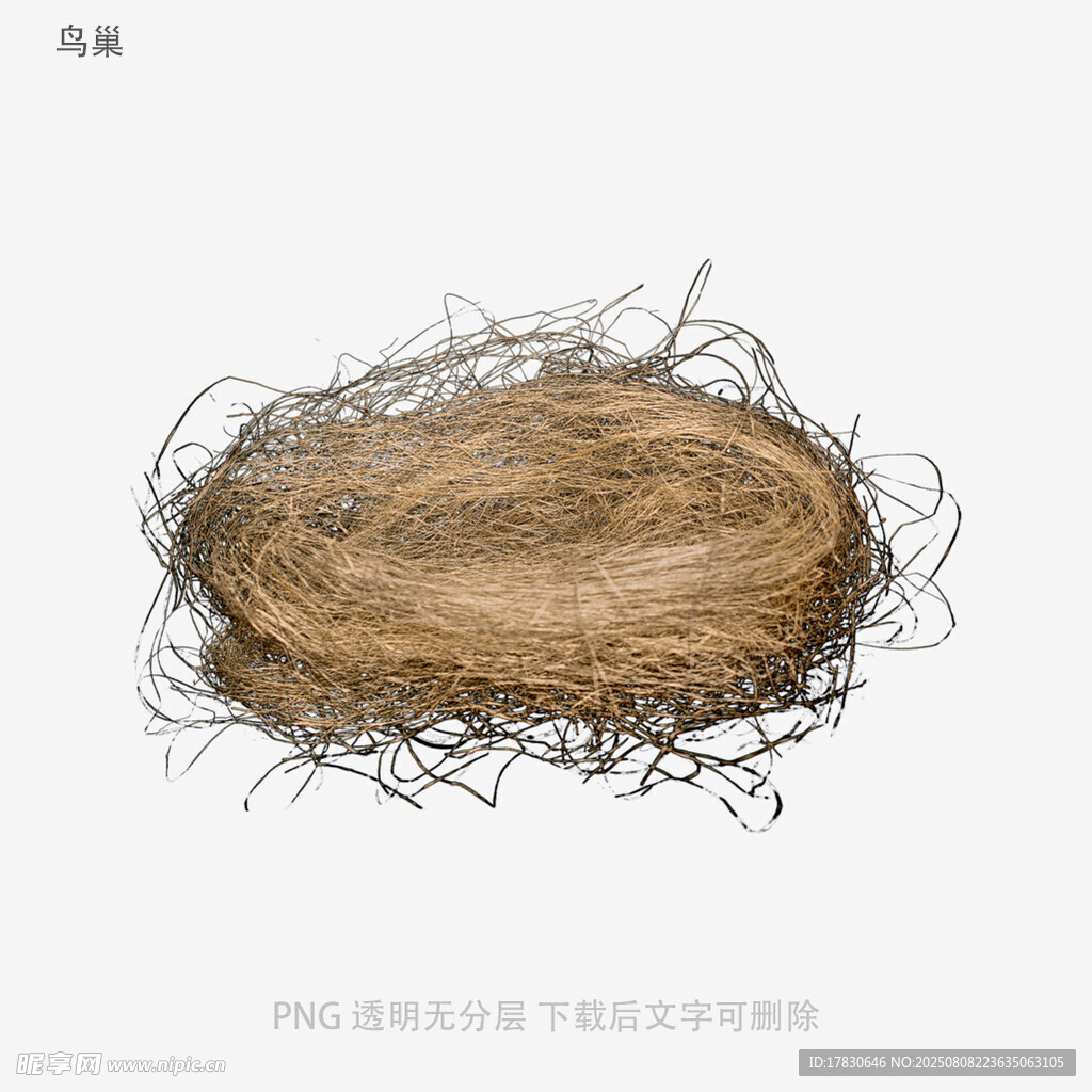 鸟巢