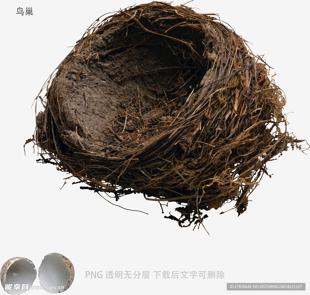鸟巢