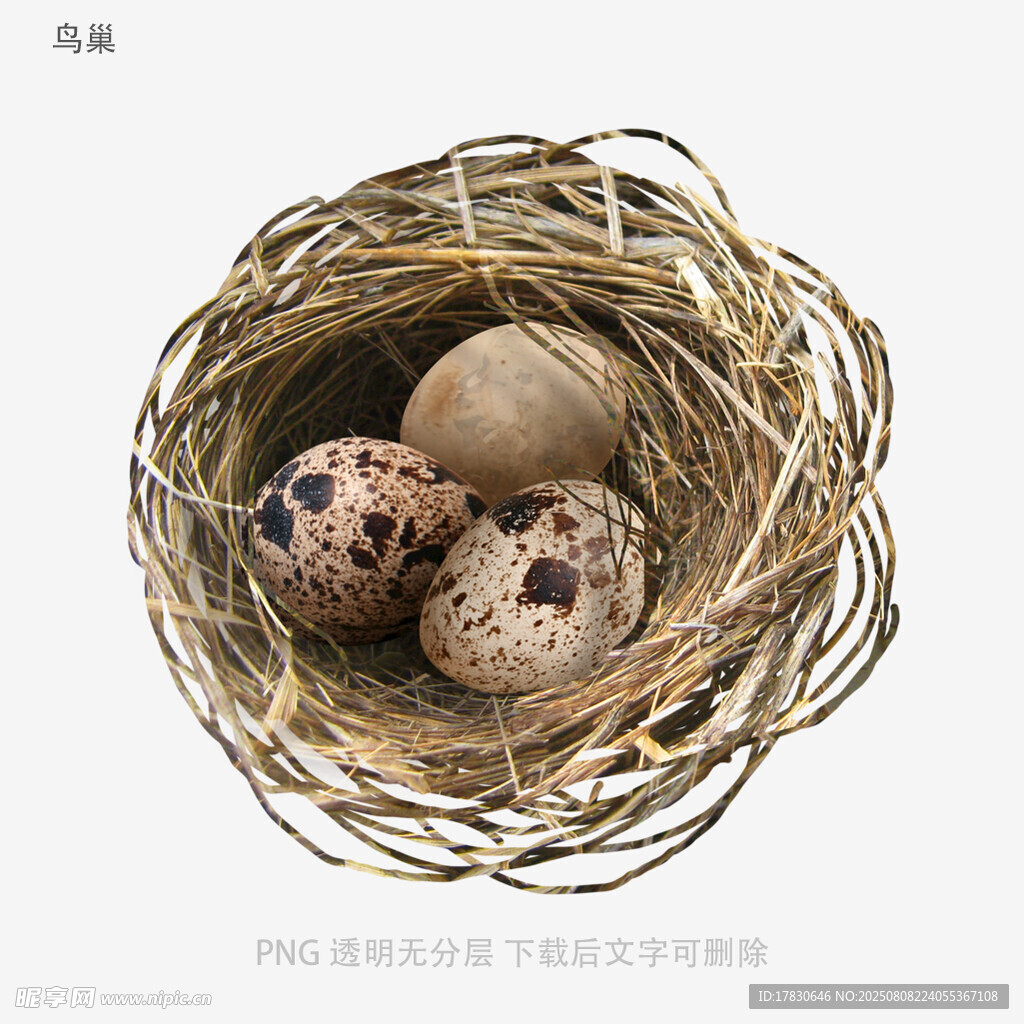 鸟巢