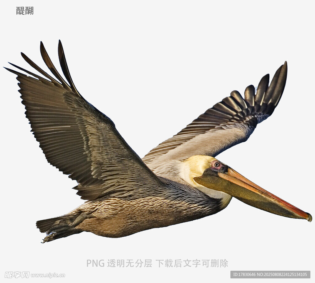 醍醐