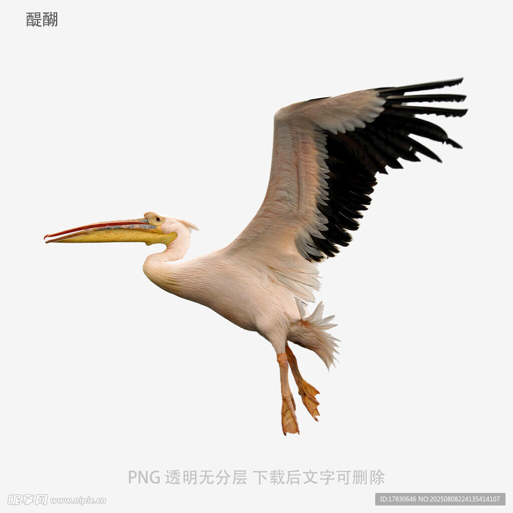 醍醐