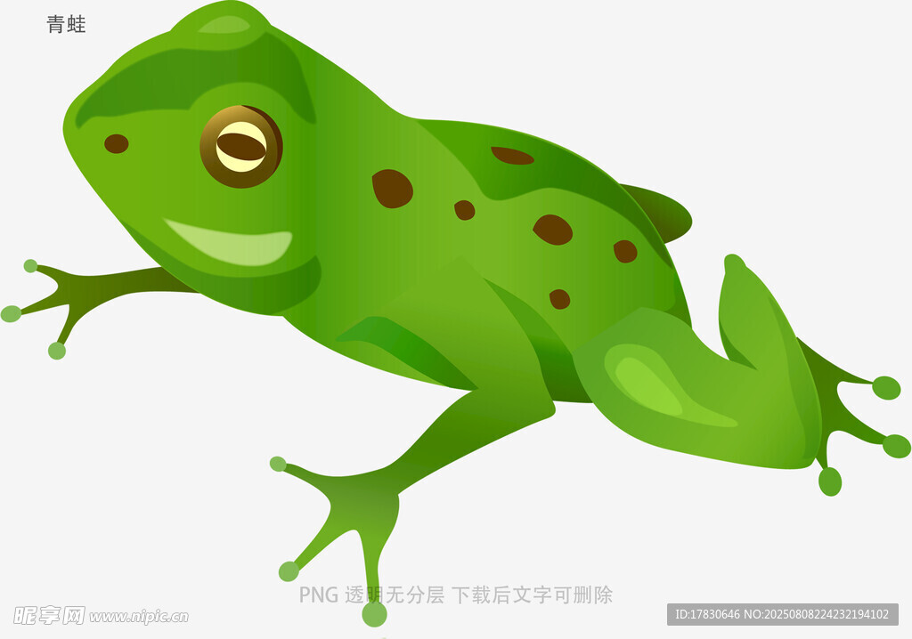 青蛙