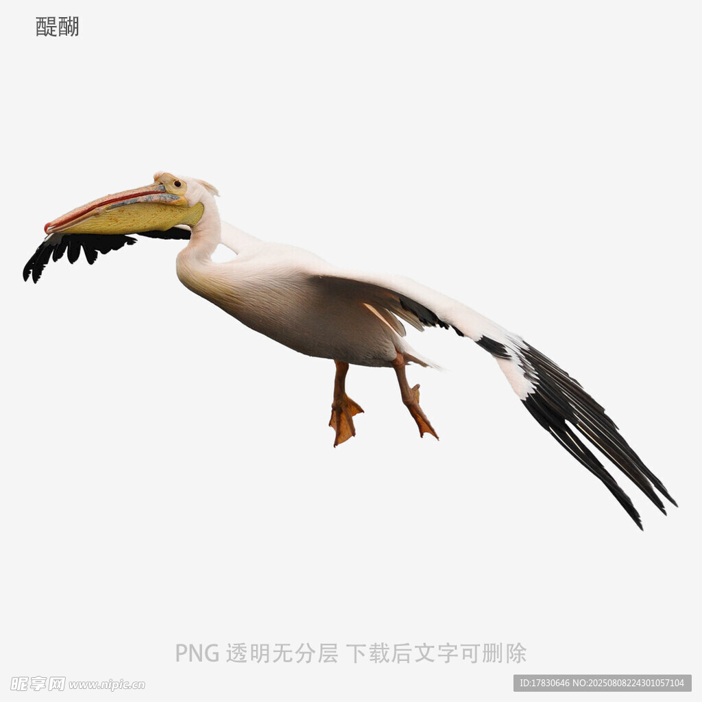 醍醐