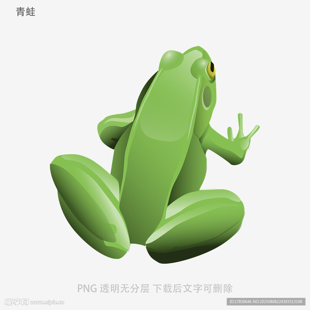 青蛙