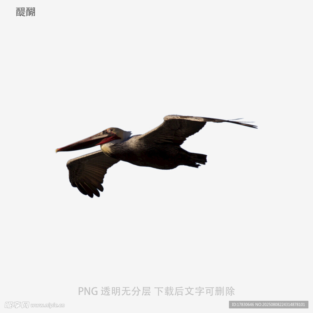 醍醐