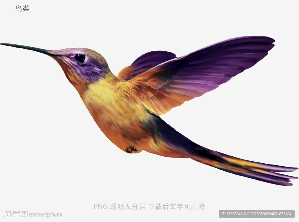 鸟类