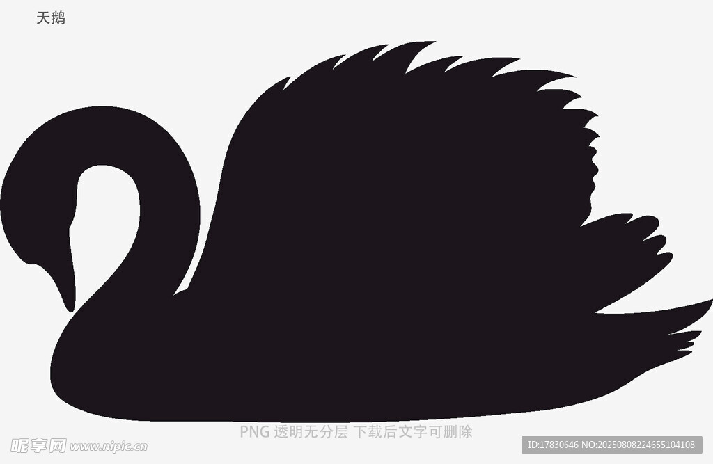天鹅