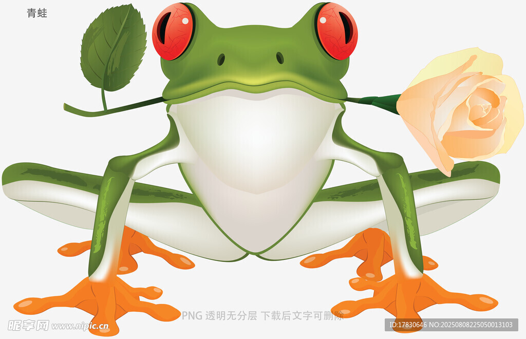 青蛙