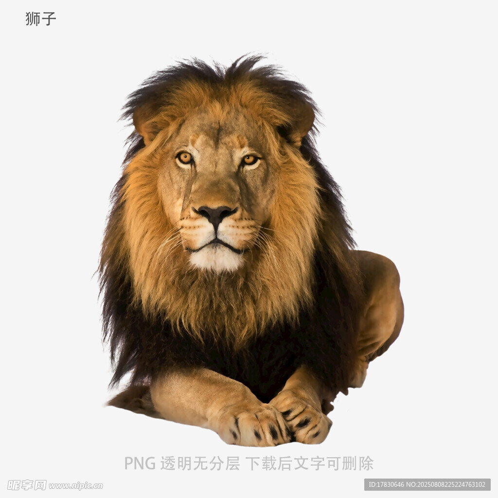狮子