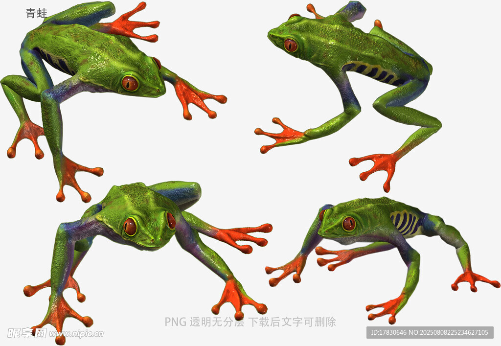 青蛙