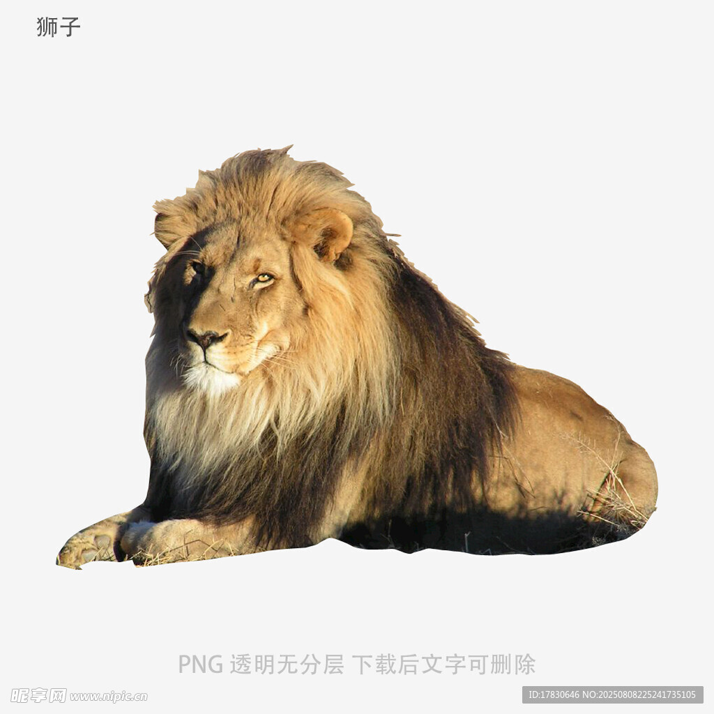 狮子