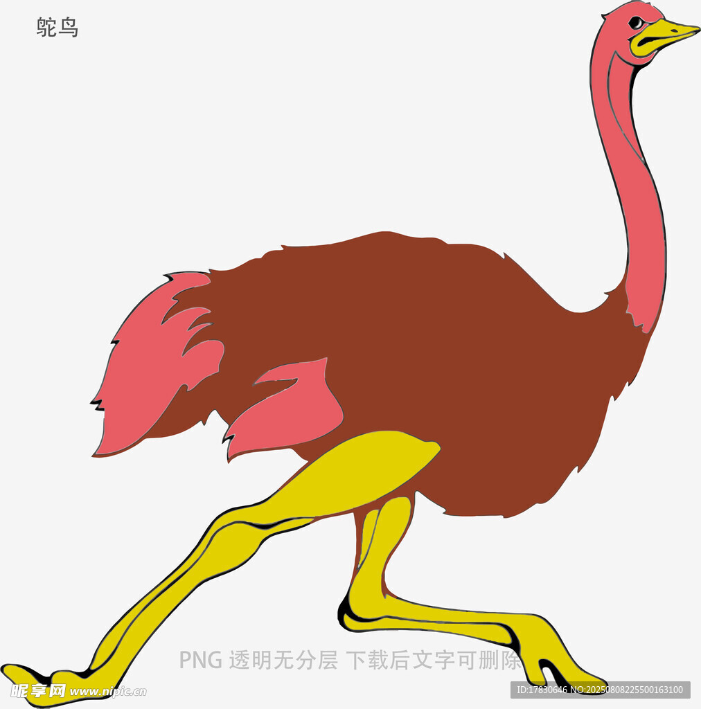 鸵鸟