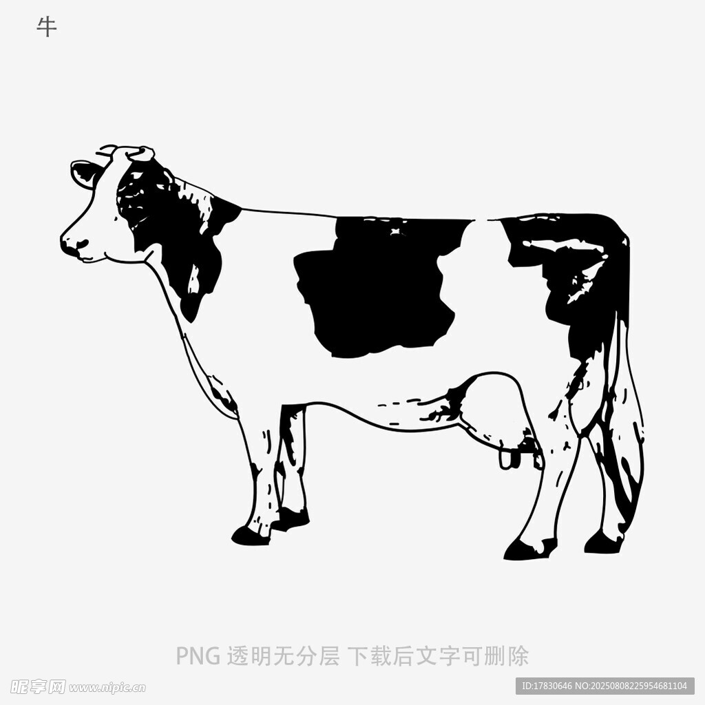 牛