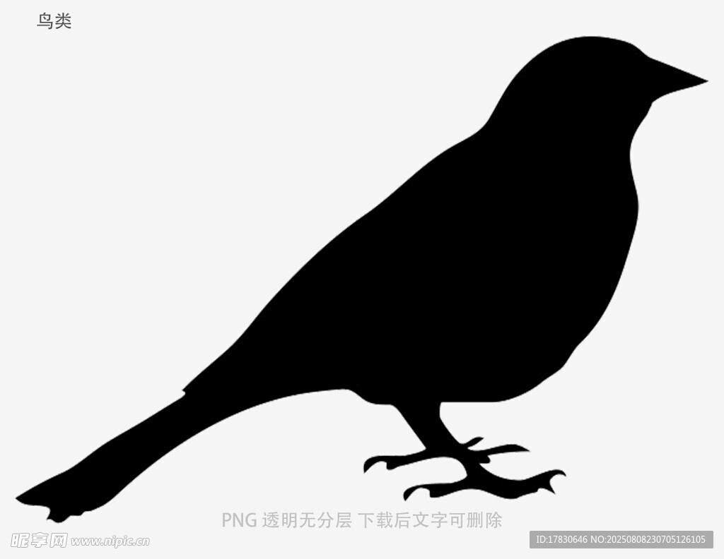 鸟类