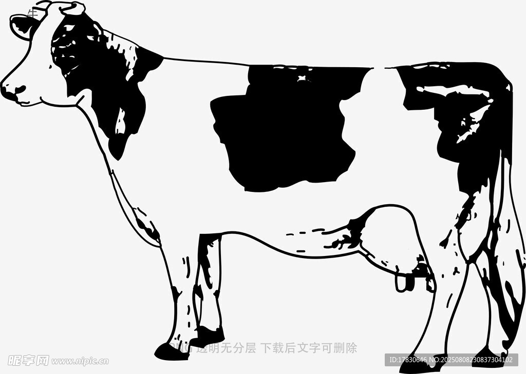 牛