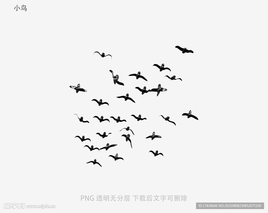 小鸟