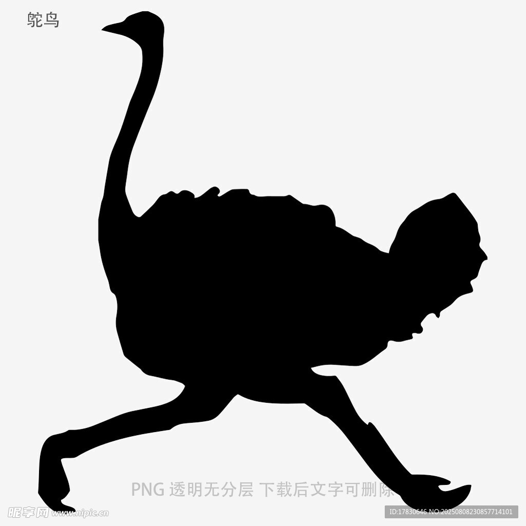 鸵鸟