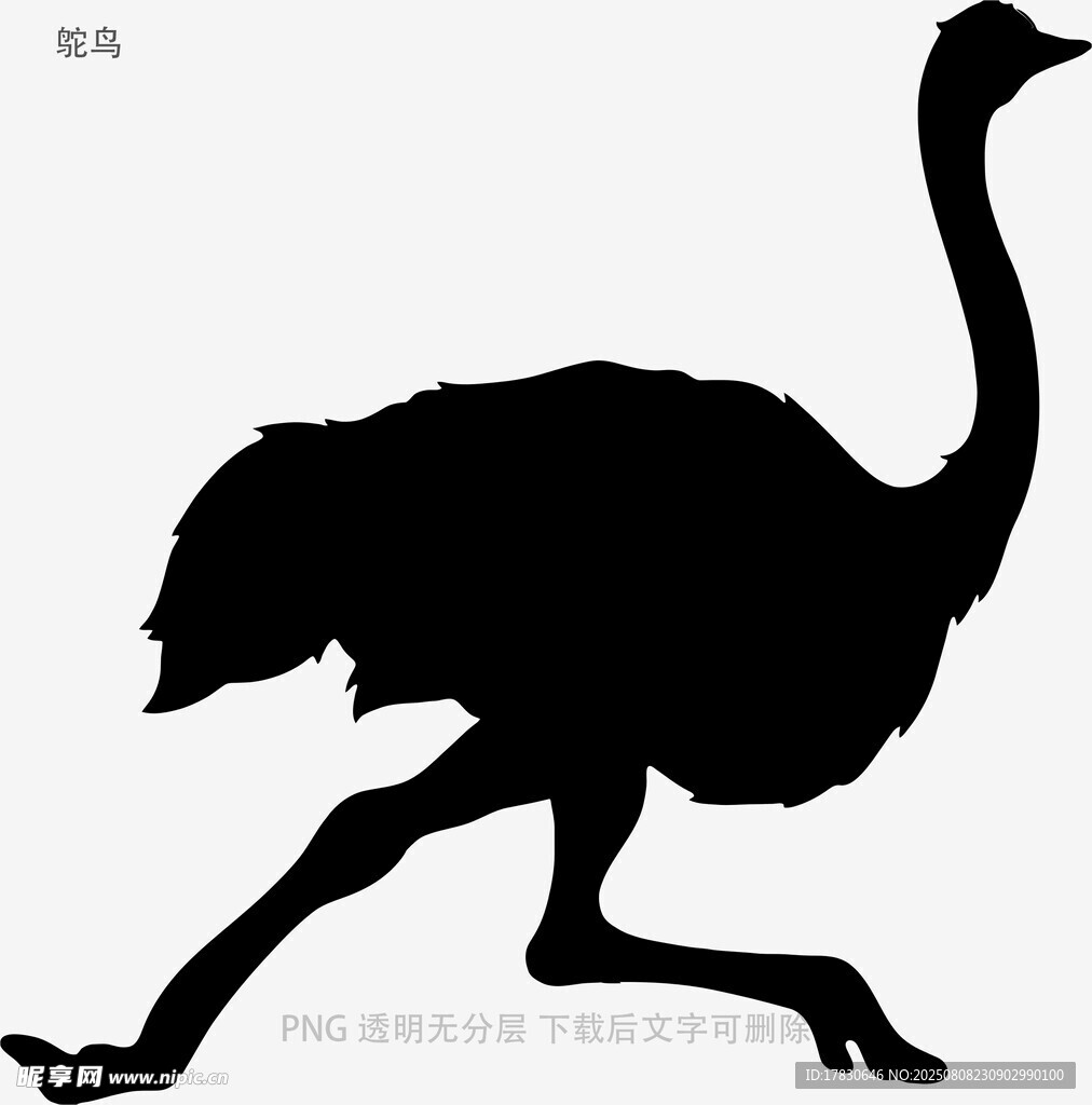 鸵鸟