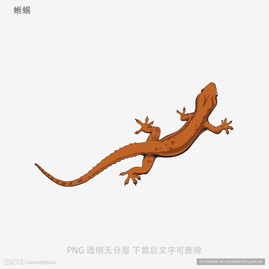 蜥蜴