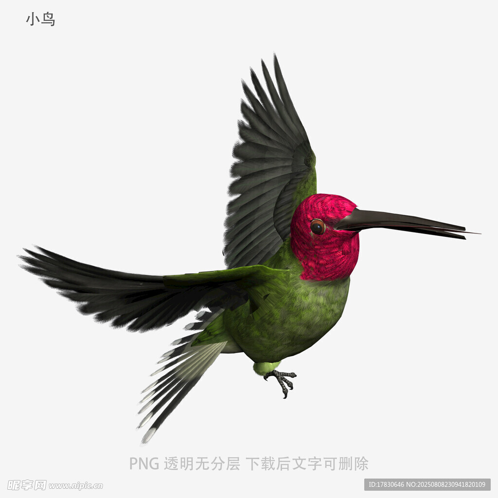 小鸟