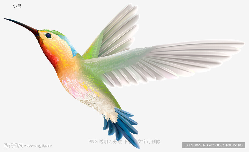 小鸟